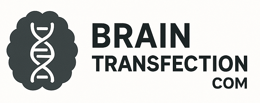 Brain Transfection